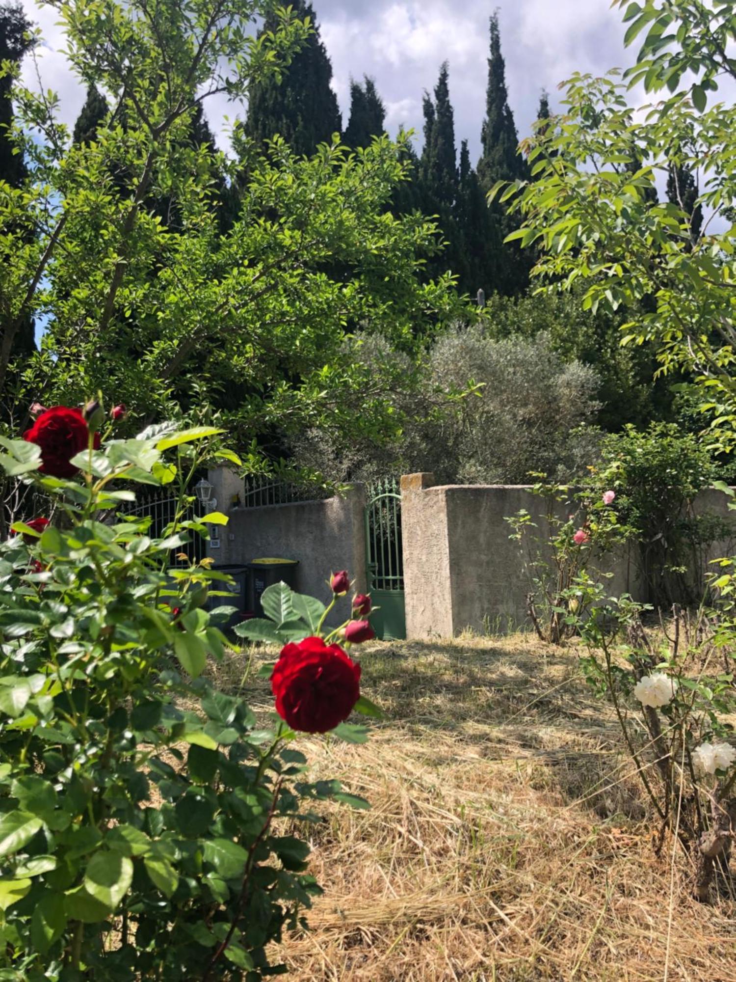 סלון-דה-פרובנס La Maison Des Sources מראה חיצוני תמונה